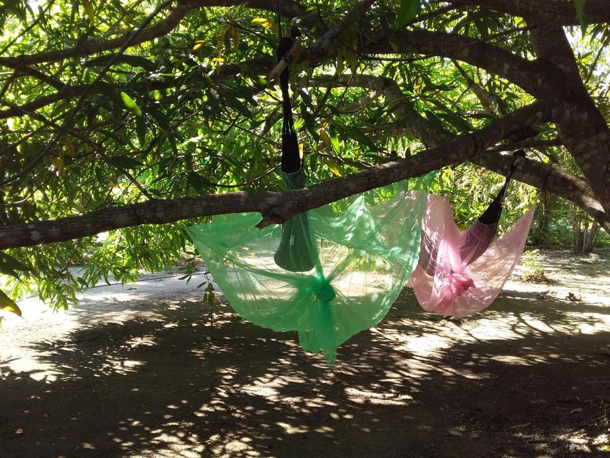 Eco-Camping Mango Feliz Rincon Del Mar San Onofre Exteriör bild