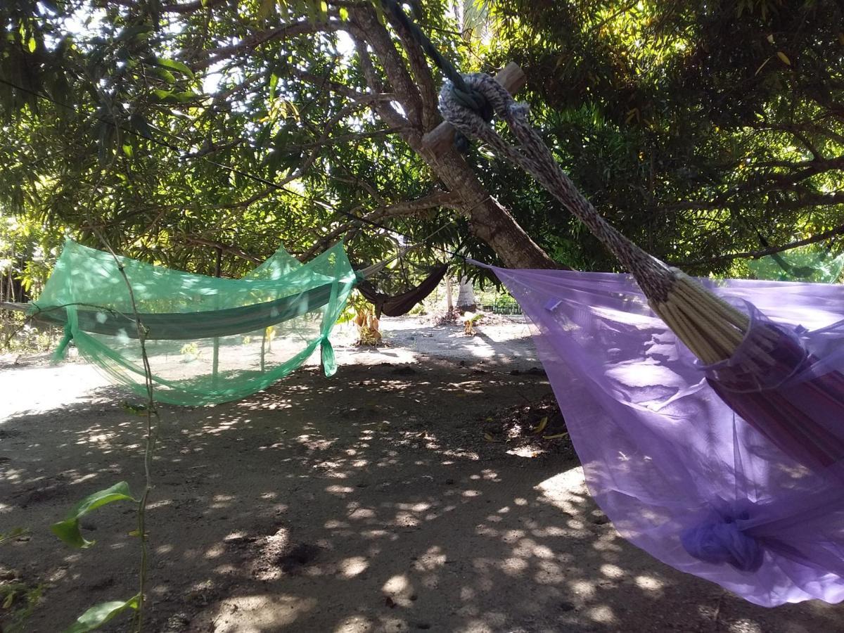 Eco-Camping Mango Feliz Rincon Del Mar San Onofre Exteriör bild