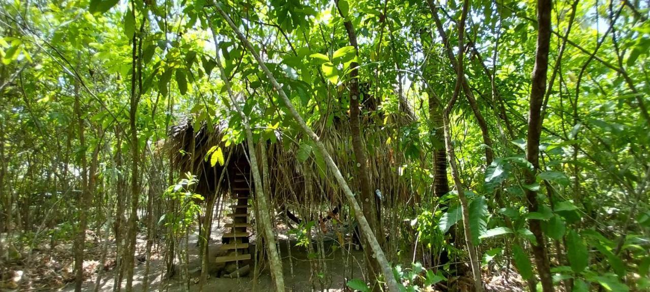 Eco-Camping Mango Feliz Rincon Del Mar San Onofre Exteriör bild