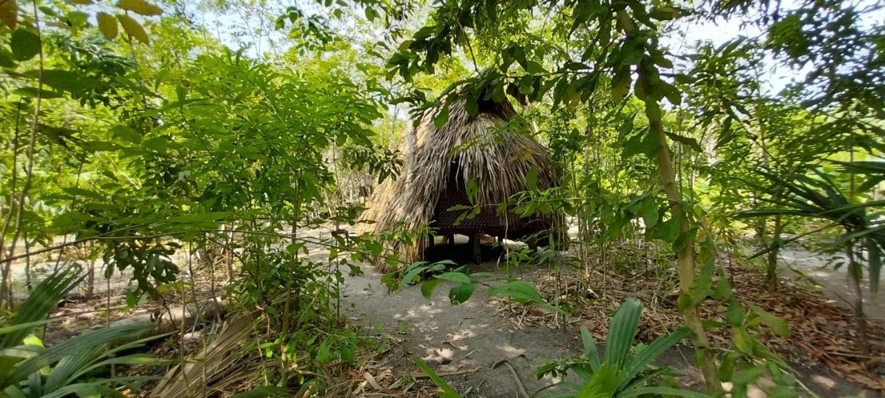 Eco-Camping Mango Feliz Rincon Del Mar San Onofre Exteriör bild
