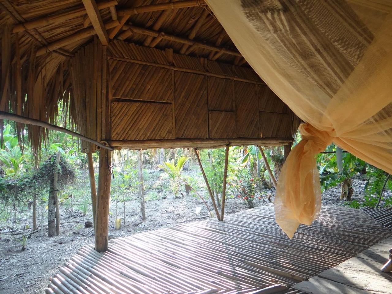 Eco-Camping Mango Feliz Rincon Del Mar San Onofre Exteriör bild