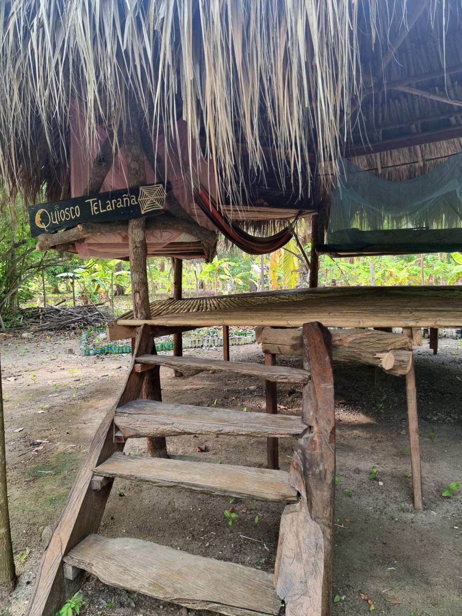 Eco-Camping Mango Feliz Rincon Del Mar San Onofre Exteriör bild