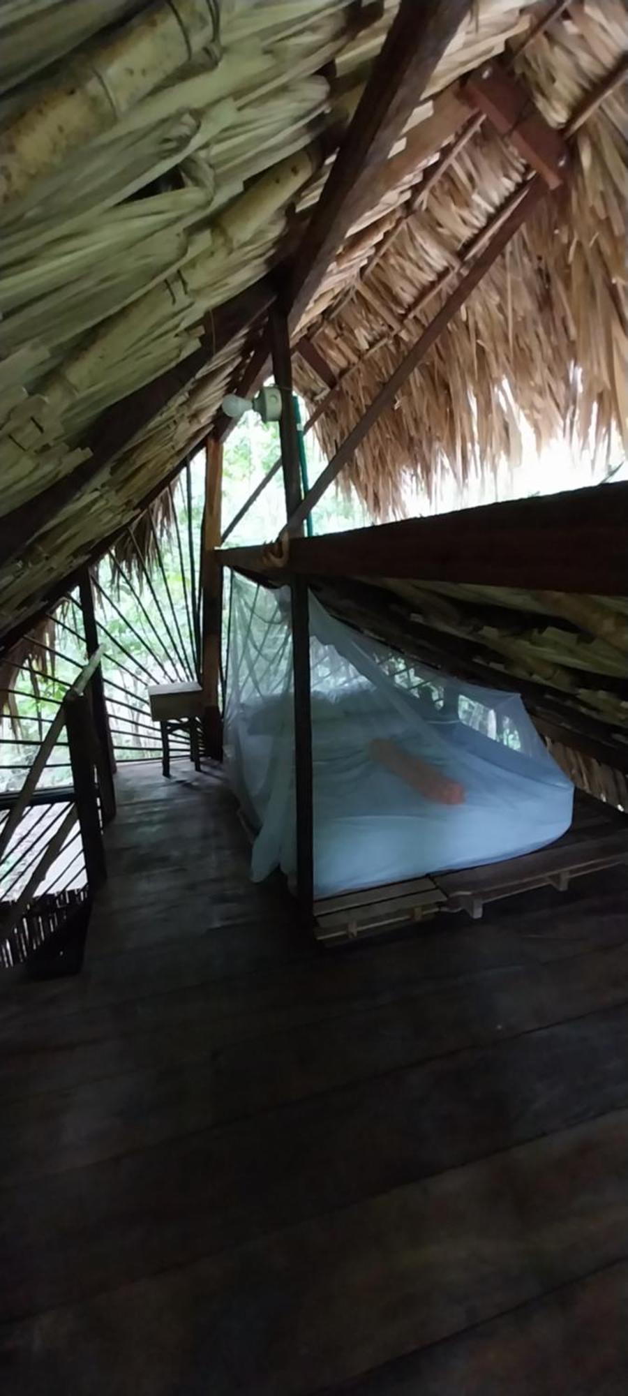 Eco-Camping Mango Feliz Rincon Del Mar San Onofre Exteriör bild