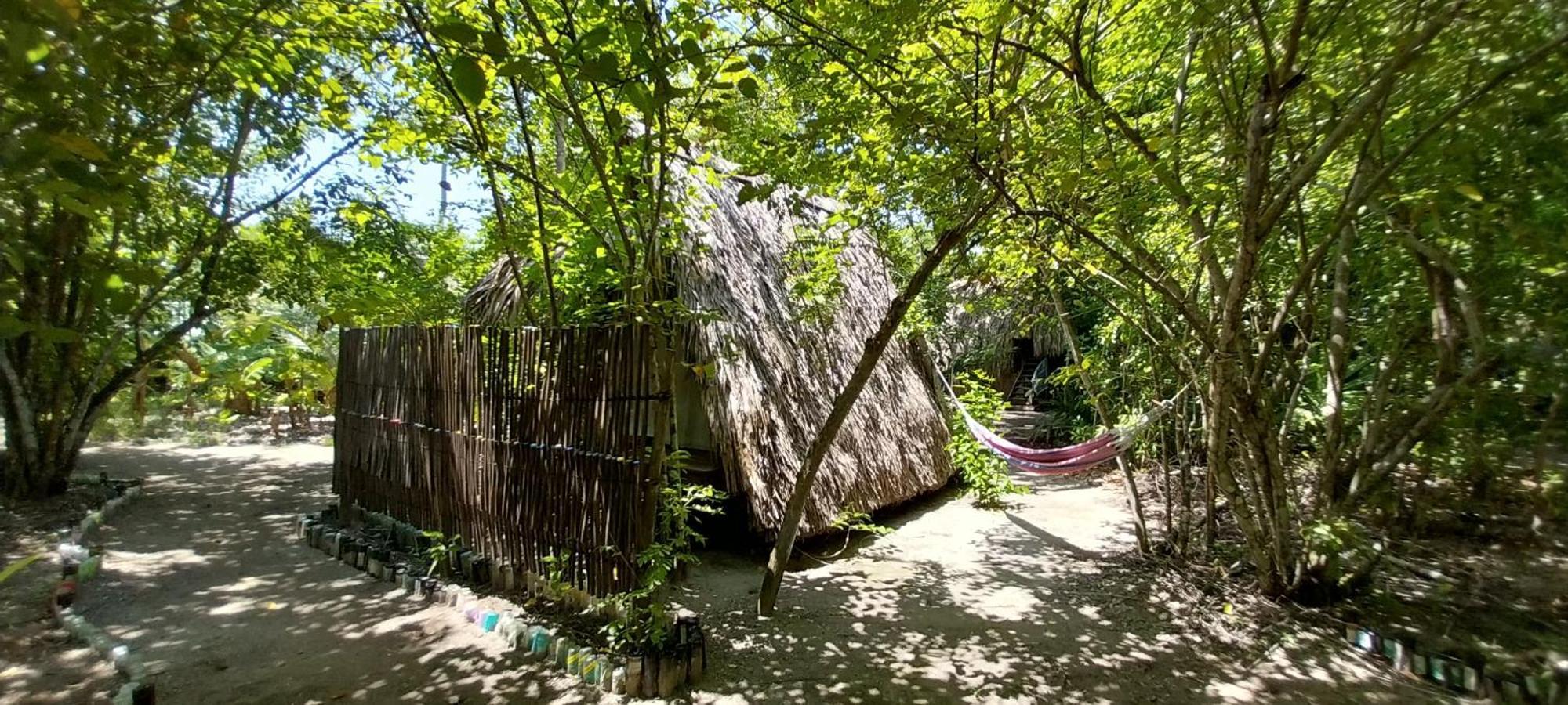 Eco-Camping Mango Feliz Rincon Del Mar San Onofre Exteriör bild