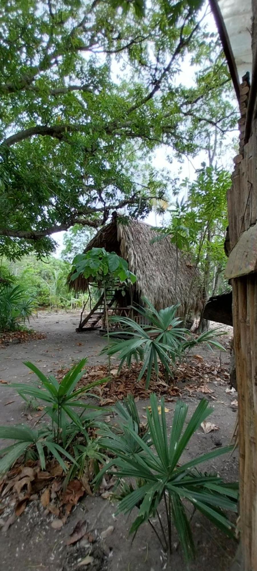 Eco-Camping Mango Feliz Rincon Del Mar San Onofre Exteriör bild
