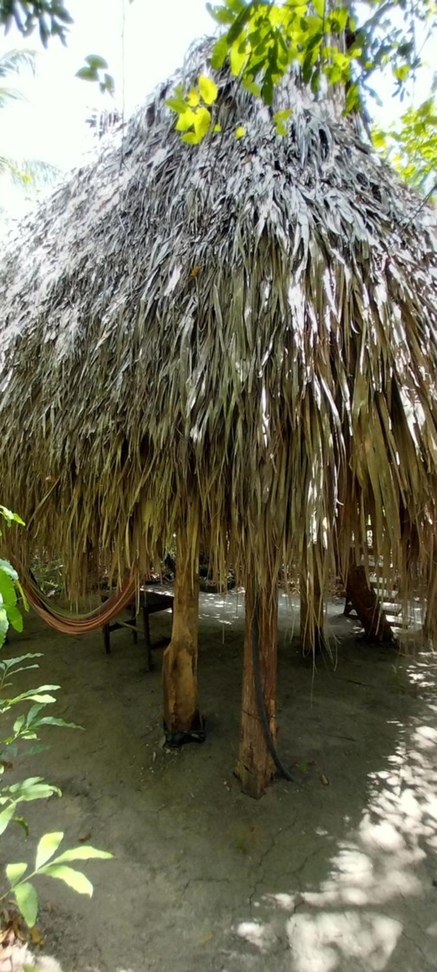 Eco-Camping Mango Feliz Rincon Del Mar San Onofre Exteriör bild
